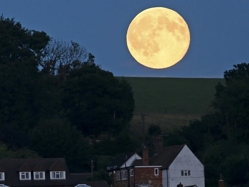 Can canh hien tuong 'trang xanh' cuc hiem hinh anh