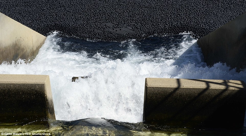Mỗi quả bóng có kích thước tương tự quả táo. Người ta chọn bóng màu đen vì đây là màu duy nhất có thể làm chệch hướng các tia cực tím.