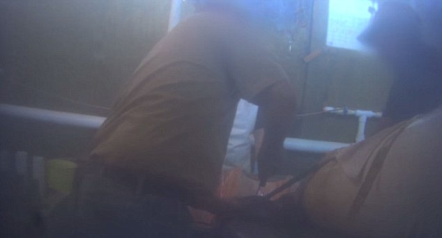 Mỗi ngày, nhân viên ở xưởng có thể giết hàng trăm con cá sấu. Một số người thừa nhận, con vật sẽ trải qua đau đớn trong nhiều phút trước khi chết.