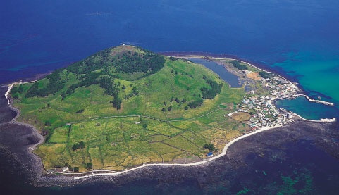 Tim thay them 9 nguoi Viet 'bien mat' o dao Jeju hinh anh