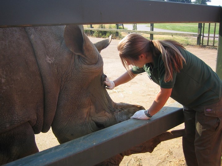 Quy tac cham soc te giac o cac vuon thu the gioi hinh anh