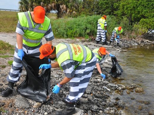 ca chet hang loat anh 2