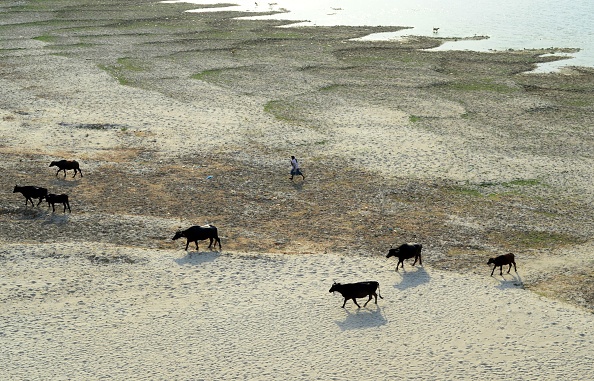 nắng nóng ở châu Á ảnh 8 nang nong o chau A anh 8