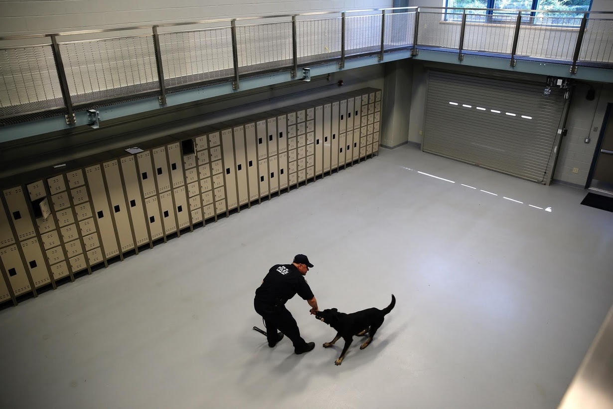 huan luyen cho nghiep vu o My anh 1