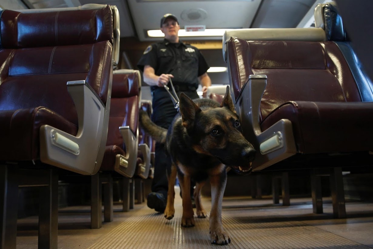 huan luyen cho nghiep vu o My anh 3