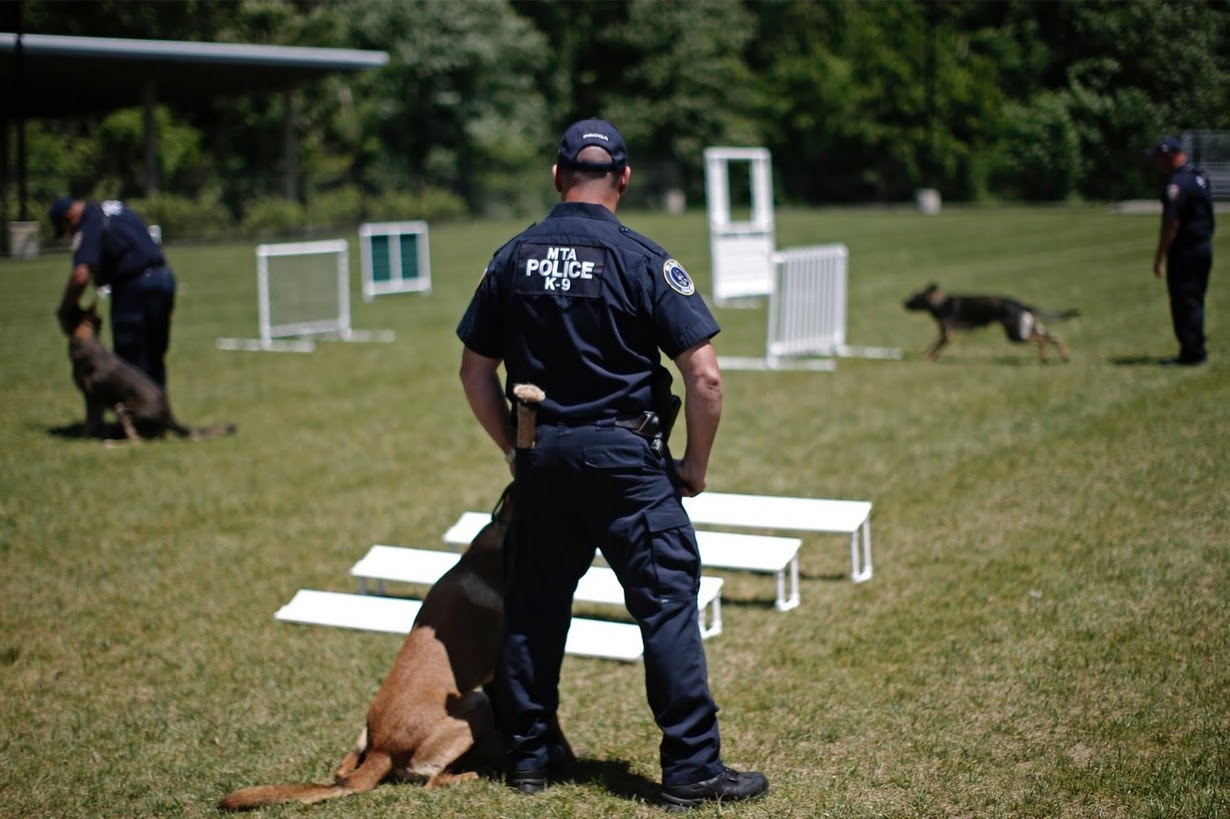 huan luyen cho nghiep vu o My anh 4