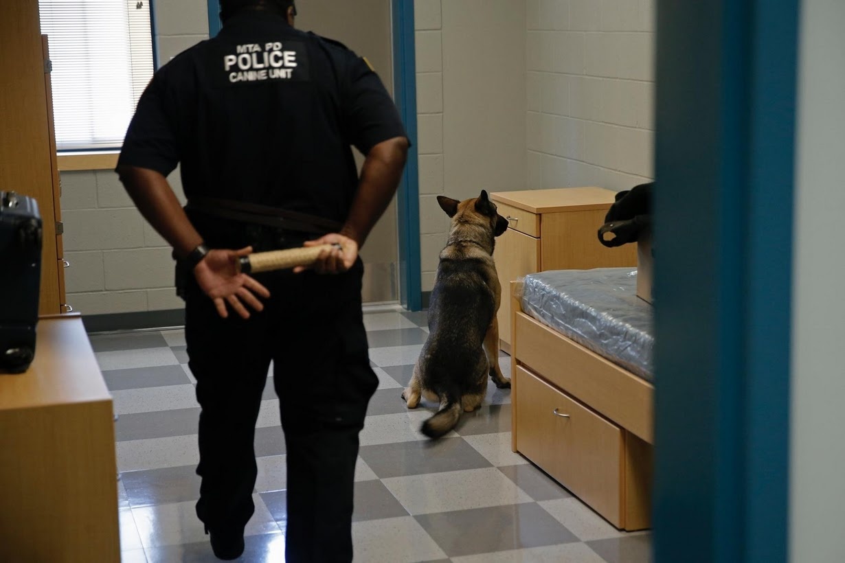 huan luyen cho nghiep vu o My anh 6