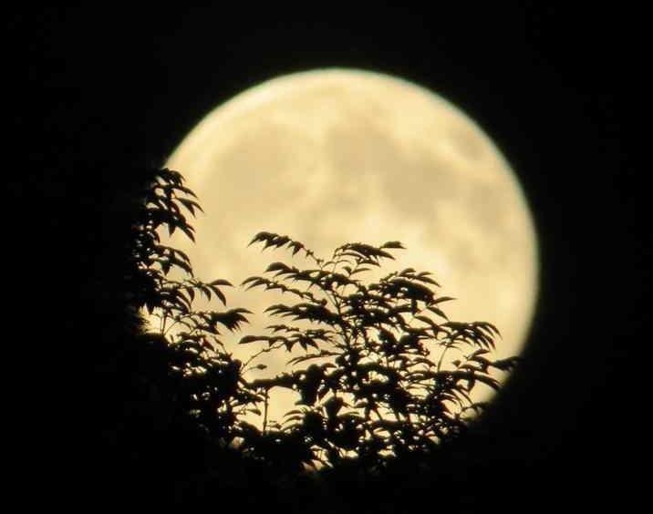 Anh an tuong ve trang tron ha chi dau tien sau 50 nam hinh anh