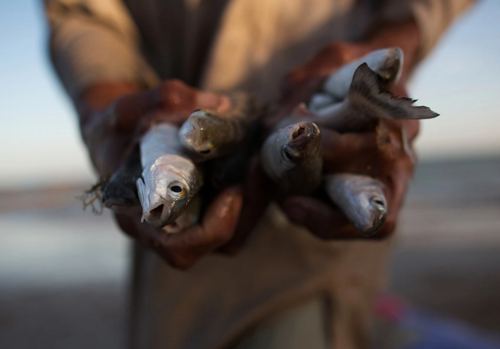 Cuoc song bap benh cua ngu dan Pakistan vi o nhiem bien hinh anh