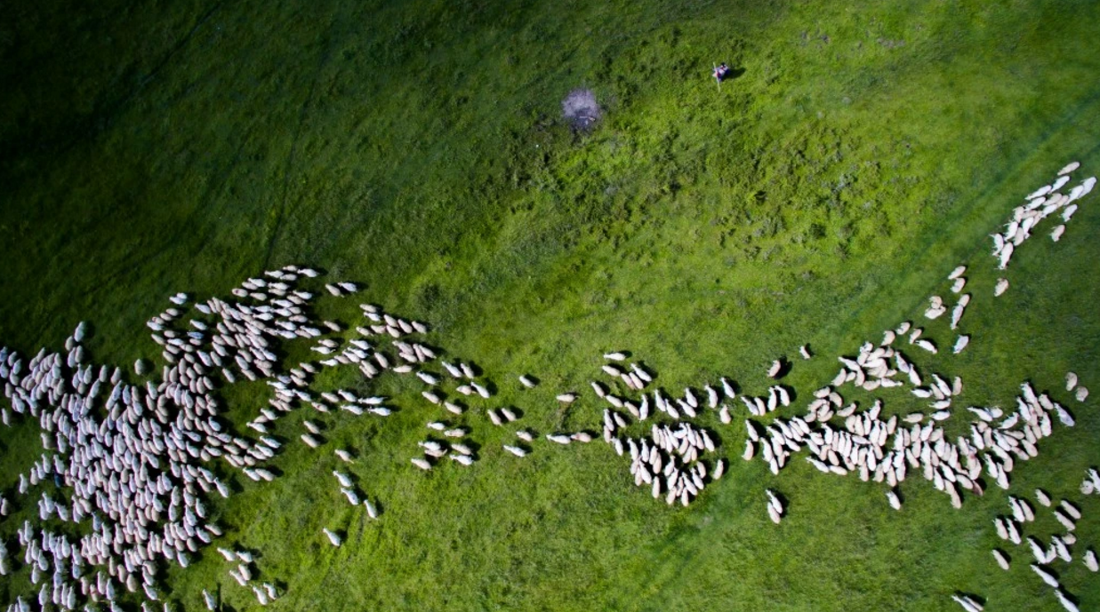 anh chup tu camera bay an tuong nhat anh 4