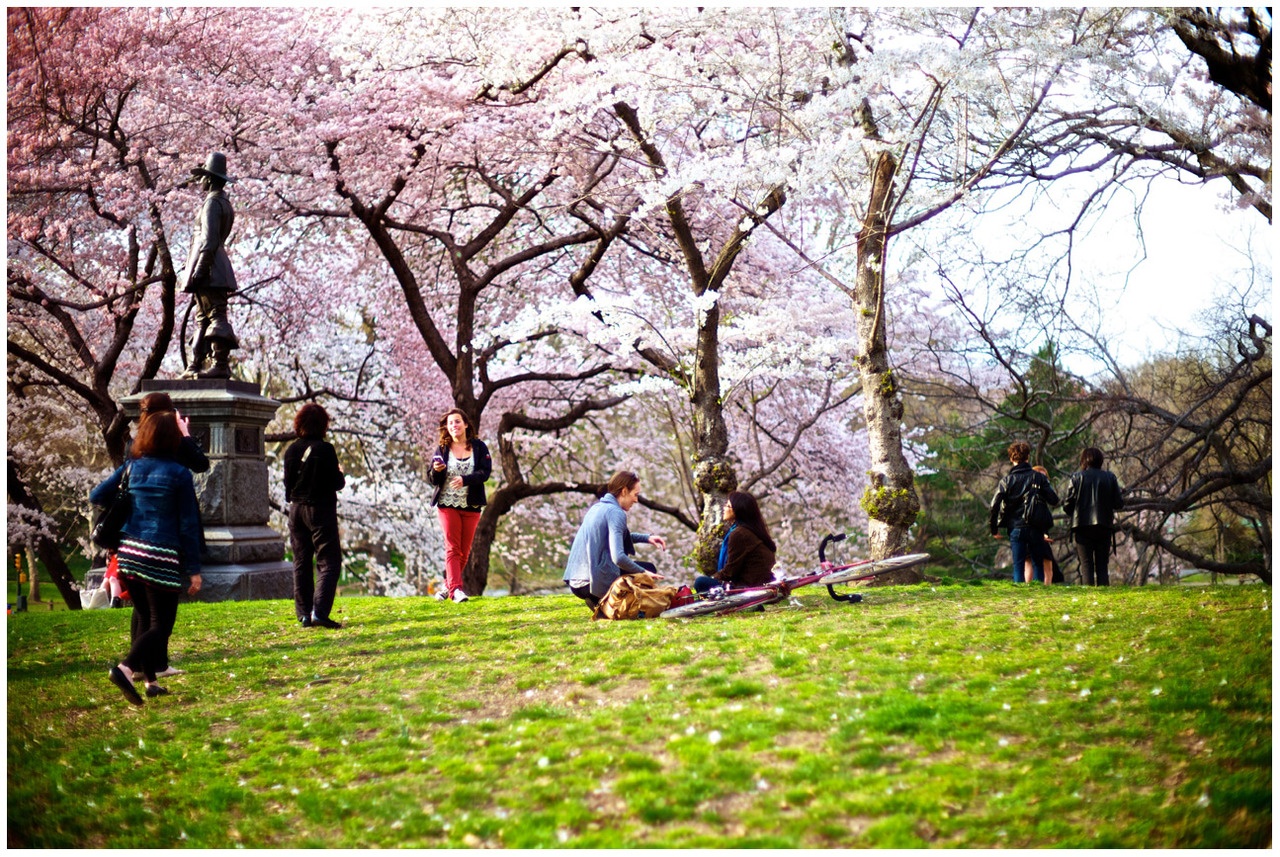 cong vien Central Park o New York anh 7