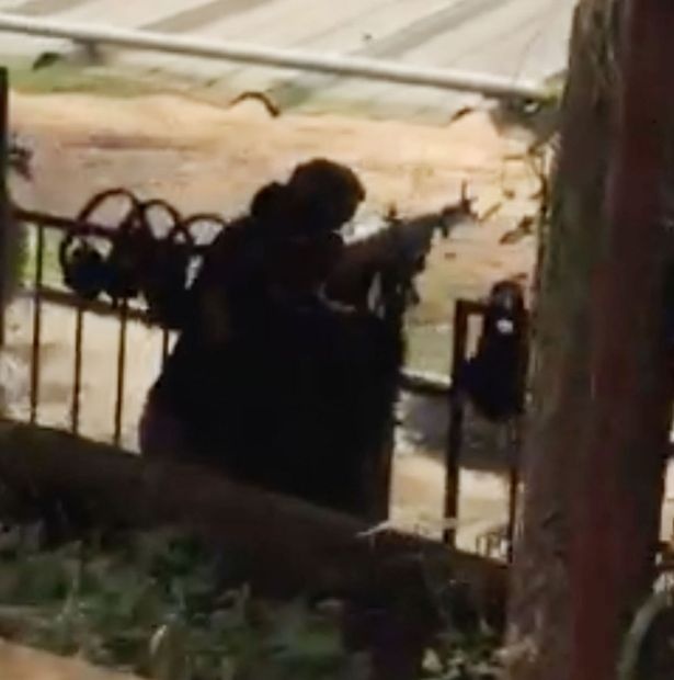 Cuu bo truong Anh choi ban sung o dia dao Cu Chi hinh anh