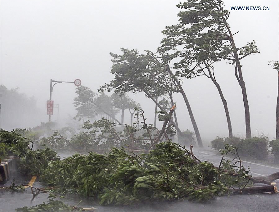 Bao Meranti tan pha Dai Loan, do bo Trung Quoc hinh anh