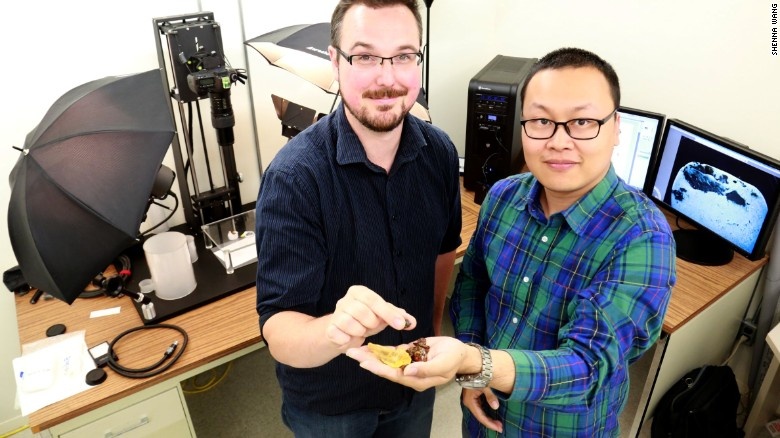 phat hien duoi khung long trong ho phach anh 2