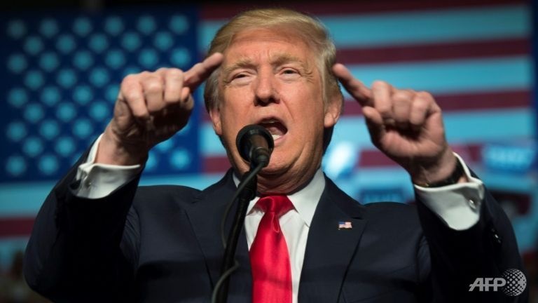 Hom nay dai cu tri chinh thuc bau tong thong My hinh anh