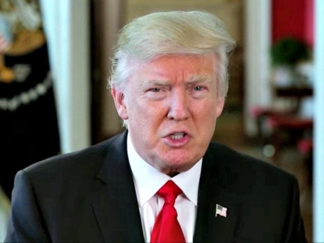 Trump phan phao nguoi bieu tinh ve lenh chan nhap cu hinh anh