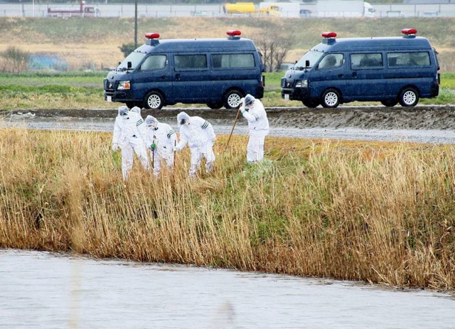 Xac dinh thoi gian be gai nguoi Viet bi sat hai o Nhat hinh anh