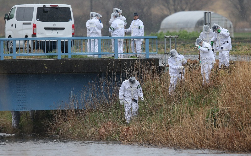 toan canh be gai Viet bi sat hai o Nhat anh 2