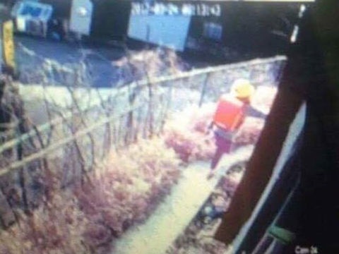 toan canh be gai Viet bi sat hai o Nhat anh 3