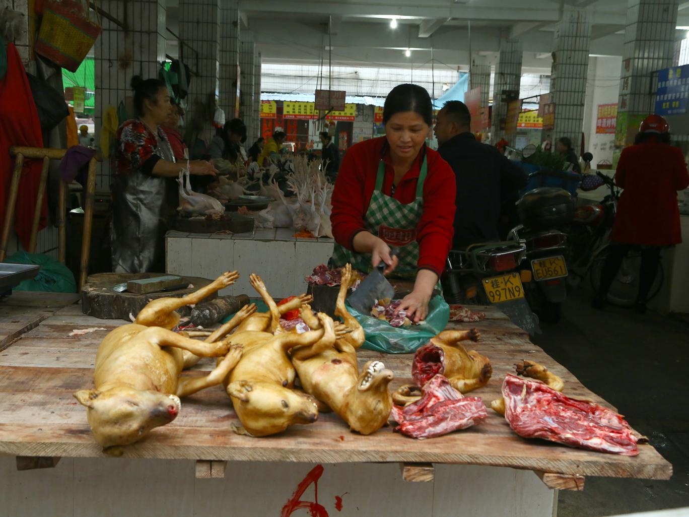 Trung Quốc cấm bán thịt chó ảnh 1 Trung Quoc cam ban thit cho anh 1