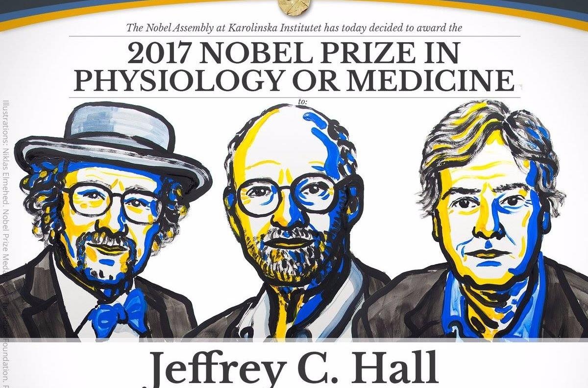 Nobel Y sinh cho kham pha ve co che kiem soat nhip sinh hoc hinh anh