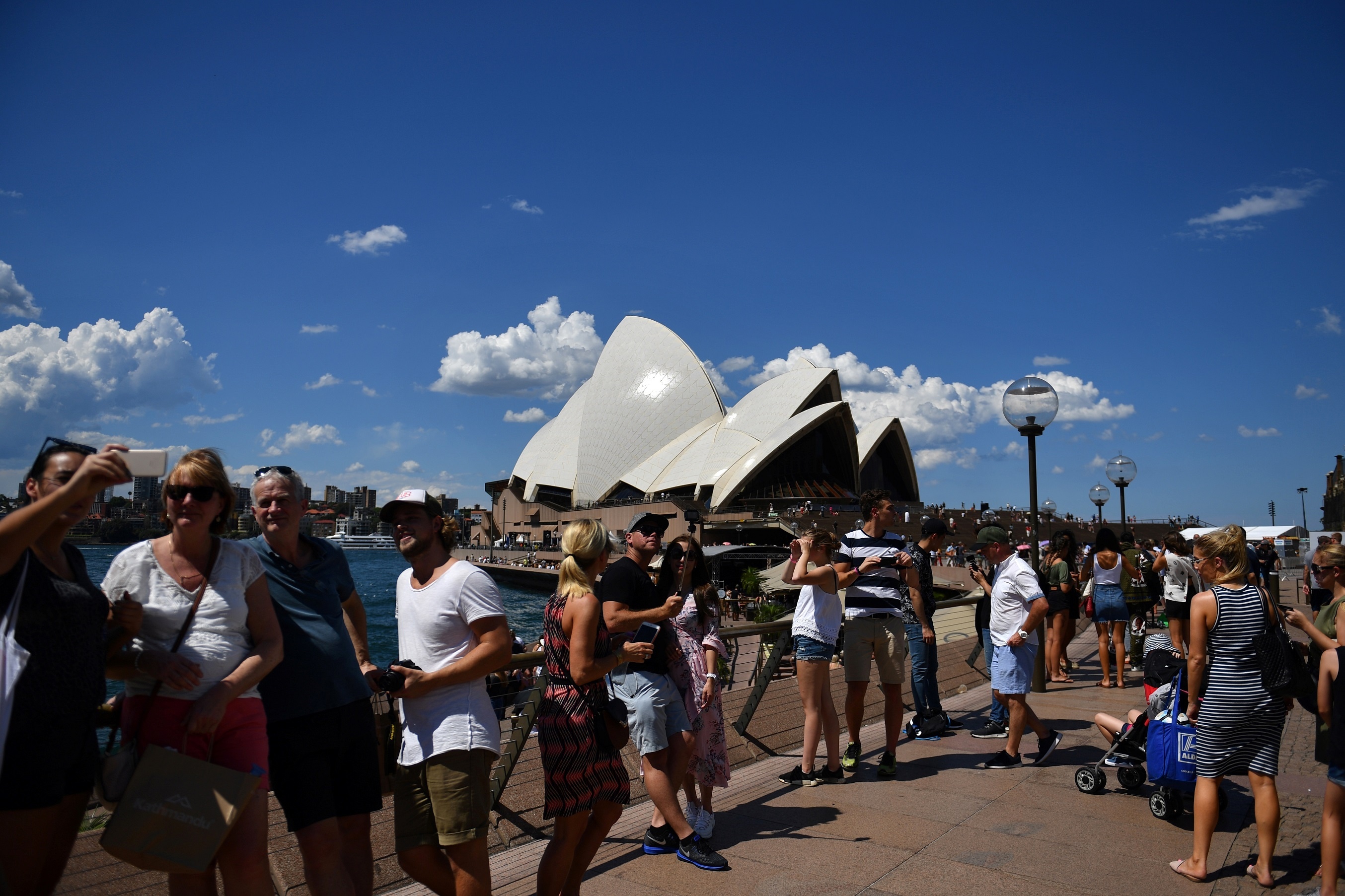 Sydney cho don phao hoa nam moi anh 5