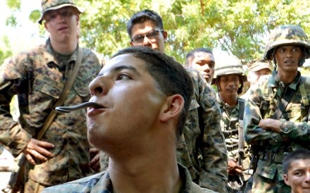 Binh si My, Thai tap tran Ho mang Vang hinh anh