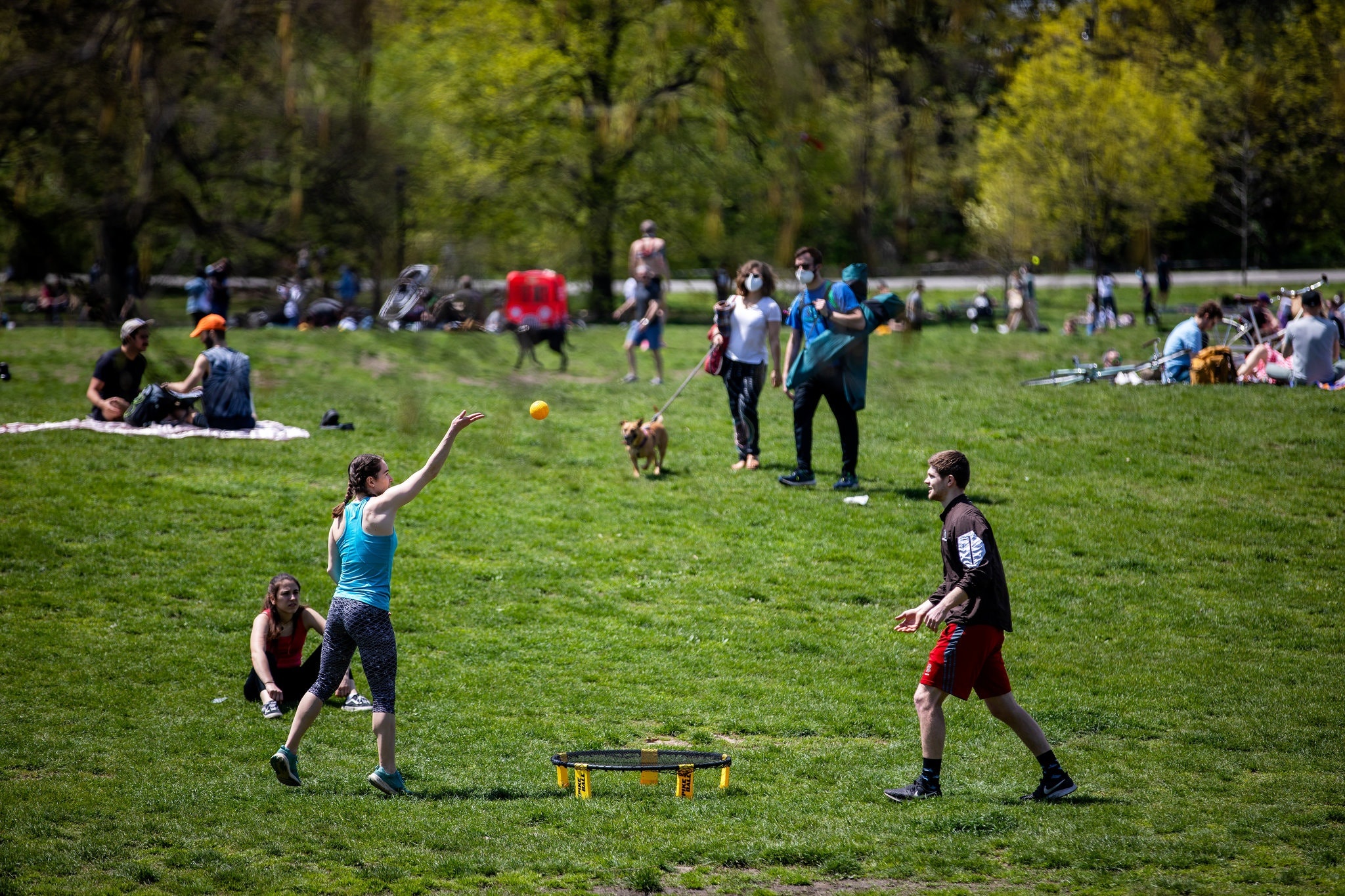 gian cach xa hoi,  bieu tinh,  khau trang y te anh 1