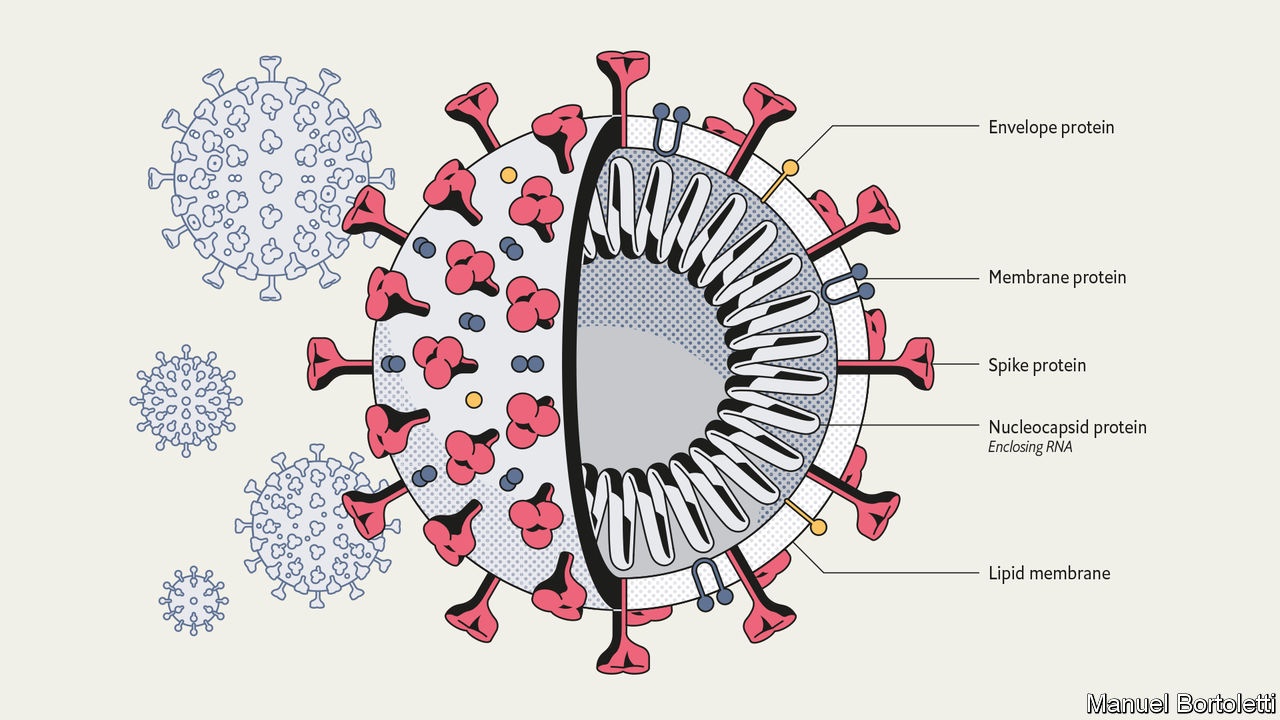 dich Covid-19,  virus SARS-CoV-2,  khang the,  vac xin,  dich benh,  dai dich Covid-10 anh 3
