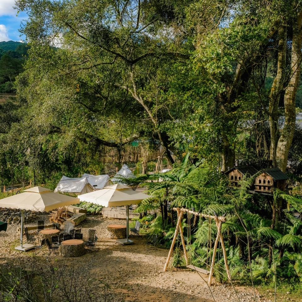 thành phố Đà Lạt, địa điểm du lịch ảnh 1 thanh pho Da Lat, dia diem du lich anh 1