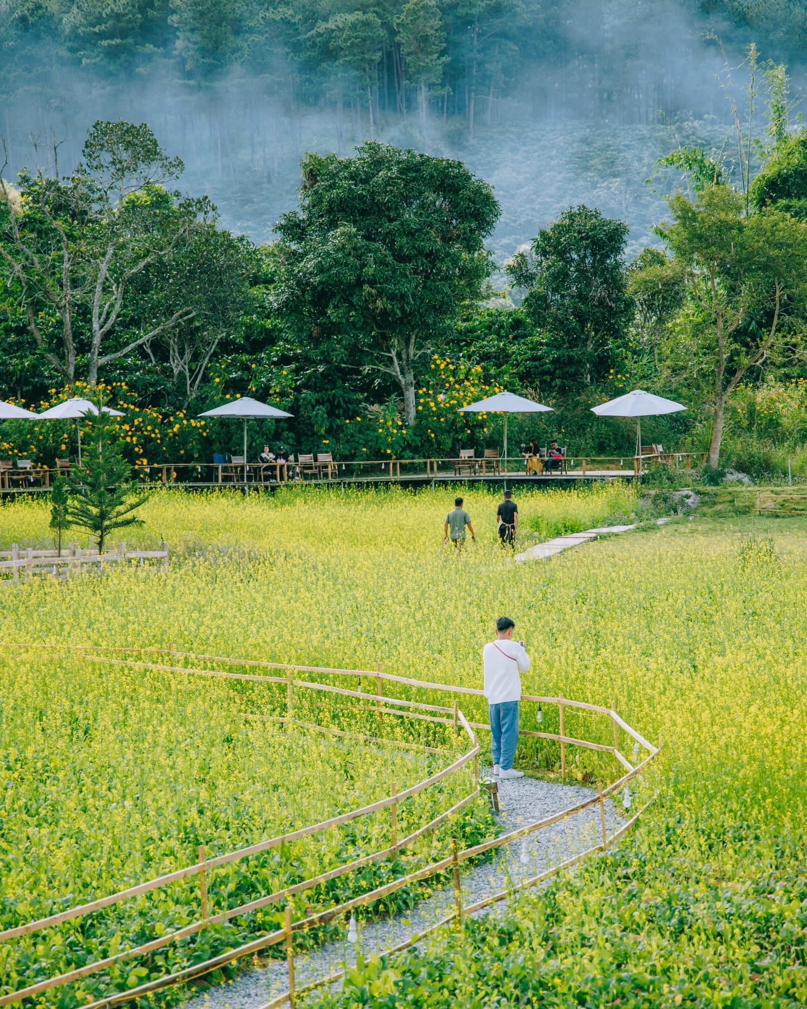 thành phố Đà Lạt, địa điểm du lịch ảnh 10 thanh pho Da Lat, dia diem du lich anh 10