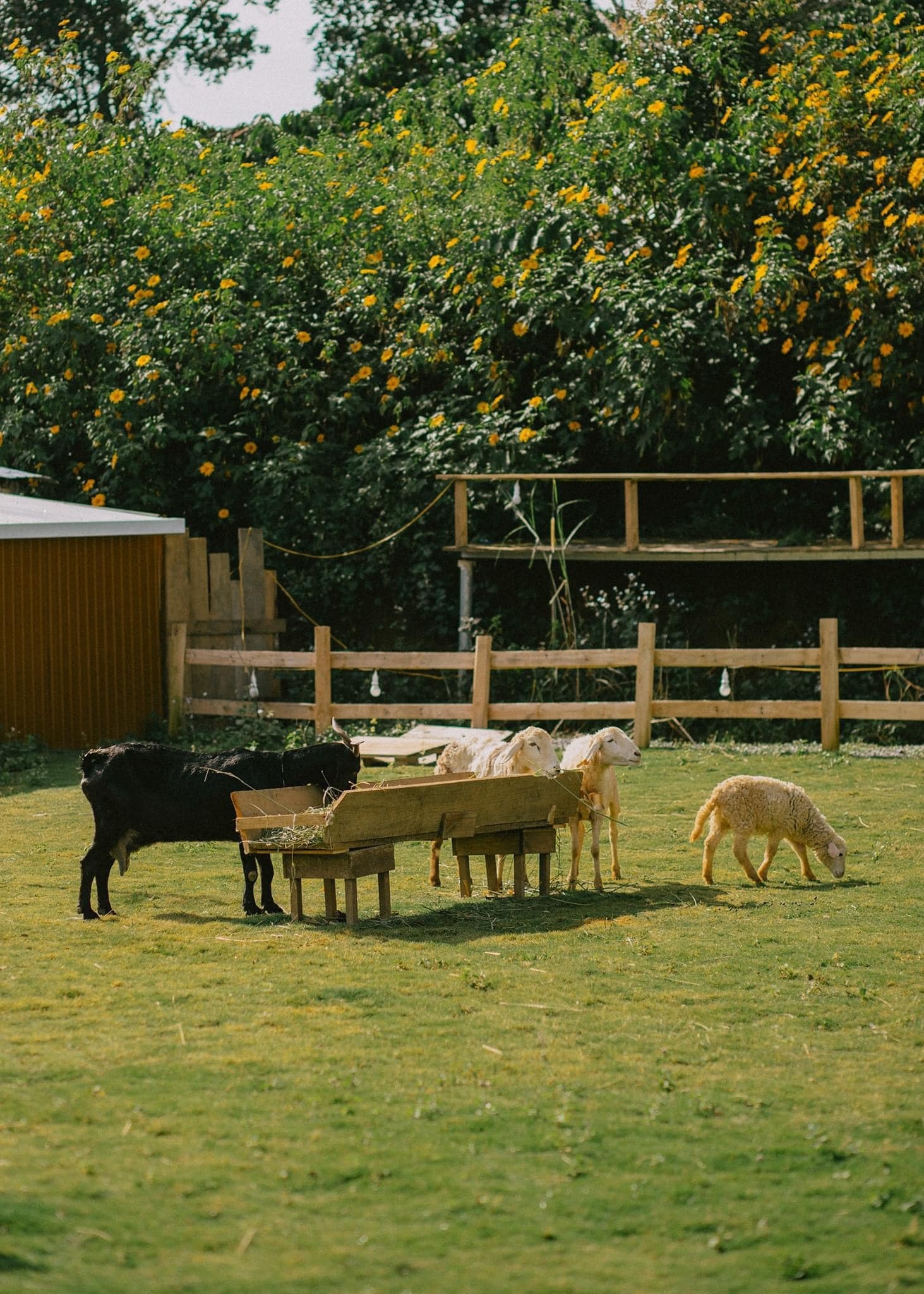 thành phố Đà Lạt, địa điểm du lịch ảnh 12 thanh pho Da Lat, dia diem du lich anh 12
