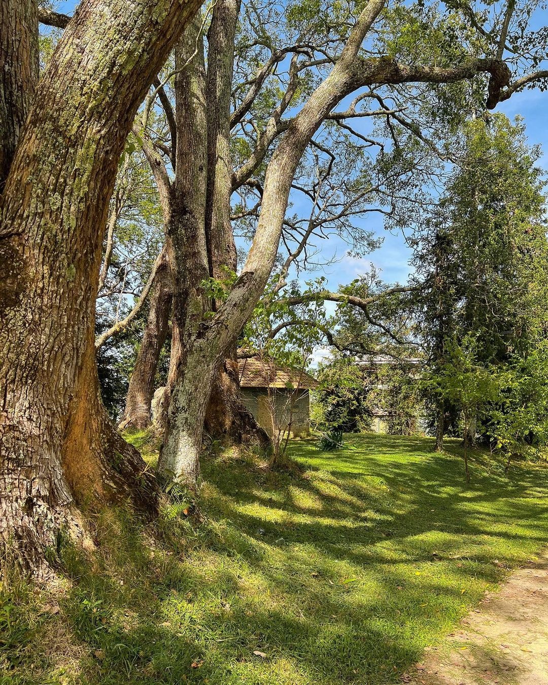 thành phố Đà Lạt, địa điểm du lịch ảnh 5 thanh pho Da Lat, dia diem du lich anh 5