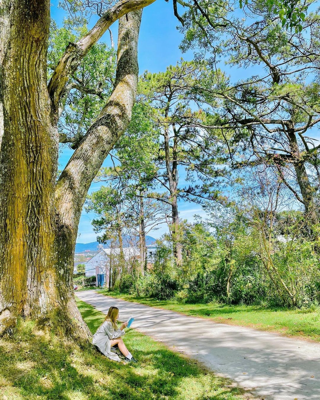 thành phố Đà Lạt, địa điểm du lịch ảnh 7 thanh pho Da Lat, dia diem du lich anh 7