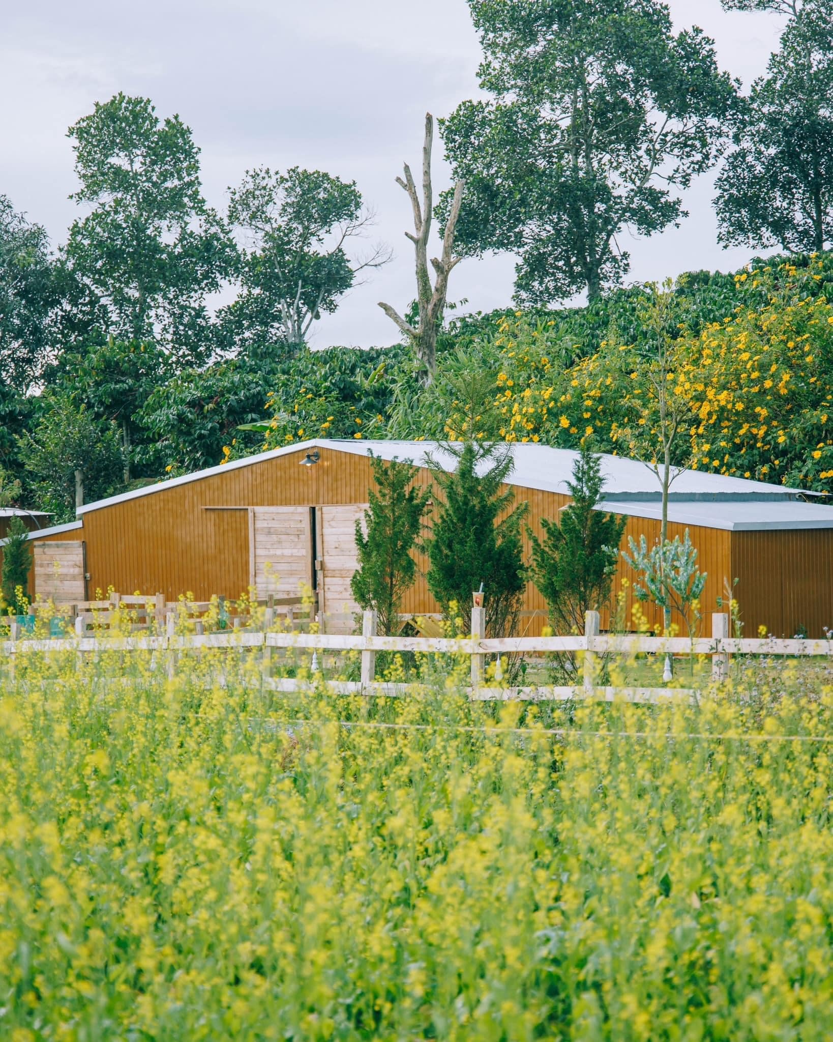 thành phố Đà Lạt, địa điểm du lịch ảnh 9 thanh pho Da Lat, dia diem du lich anh 9
