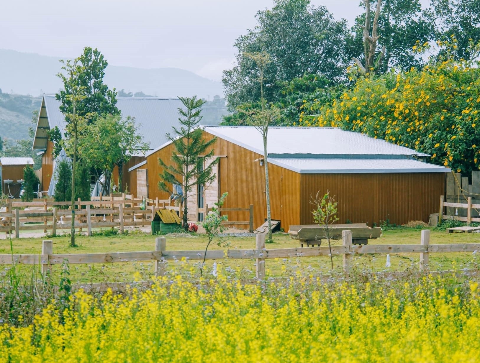 Diem den thien nhien len ngoi tai Da Lat hinh anh