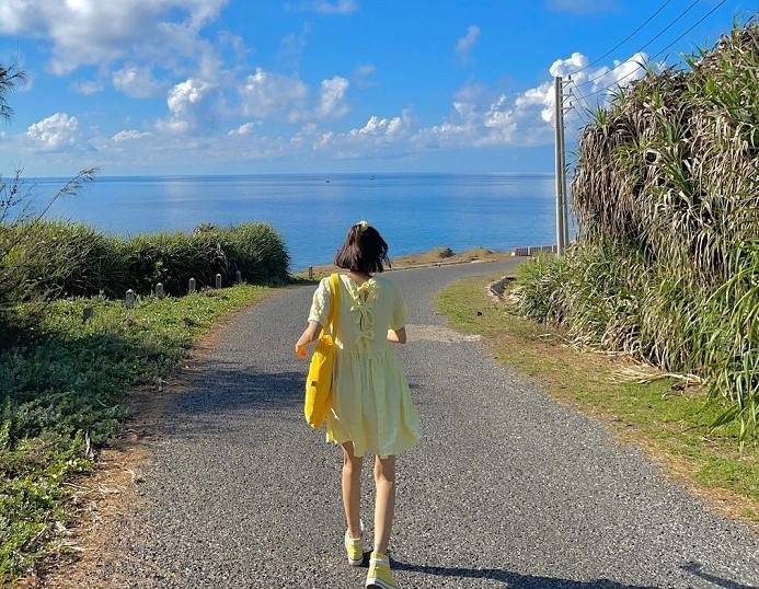 6 dieu chi co o cac hon dao Viet Nam hinh anh