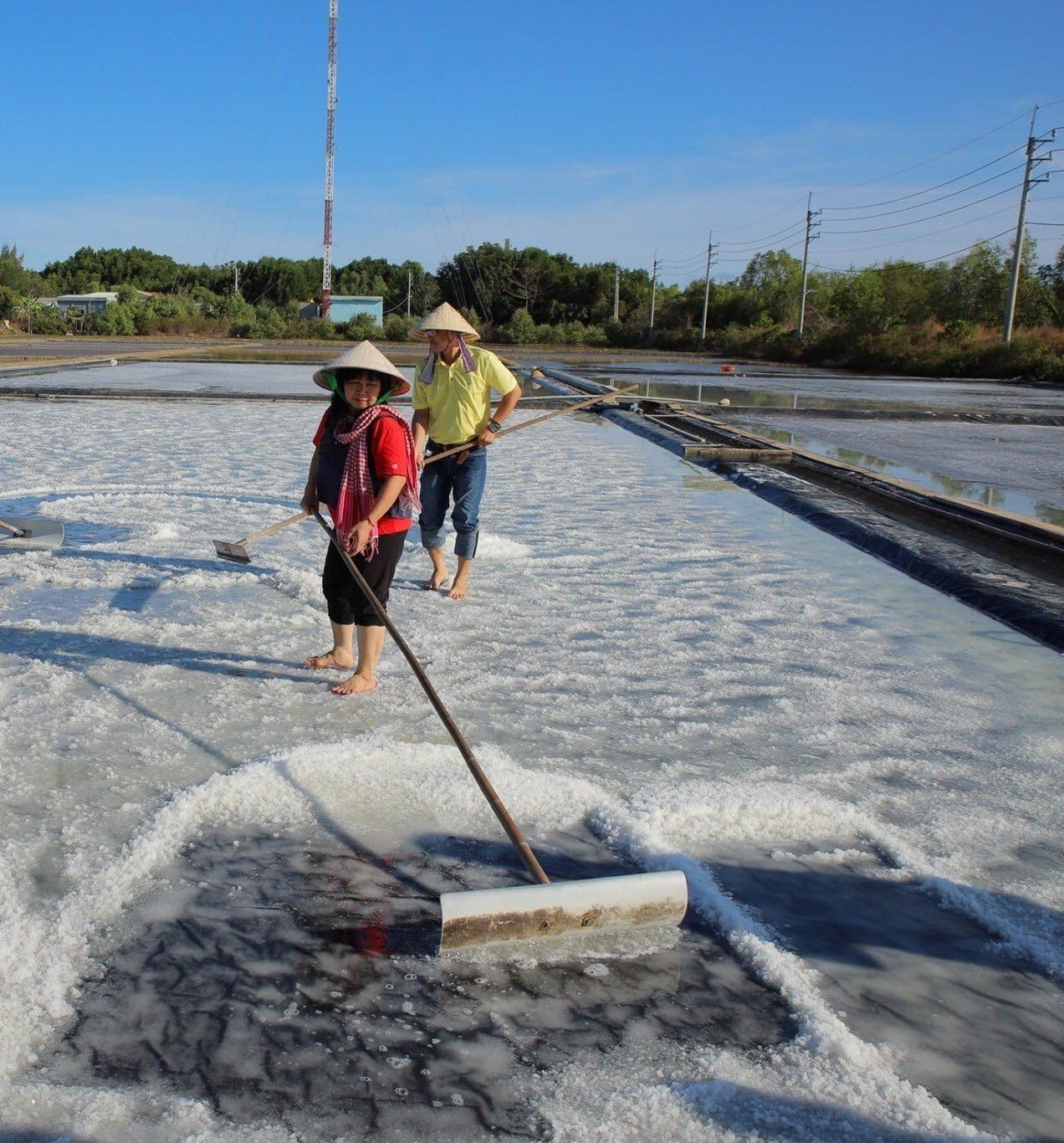 du lịch cộng đồng, ấp Thiềng Liềng, văn hóa bản địa ảnh 7 du lich cong dong, ap Thieng Lieng, van hoa ban dia anh 7