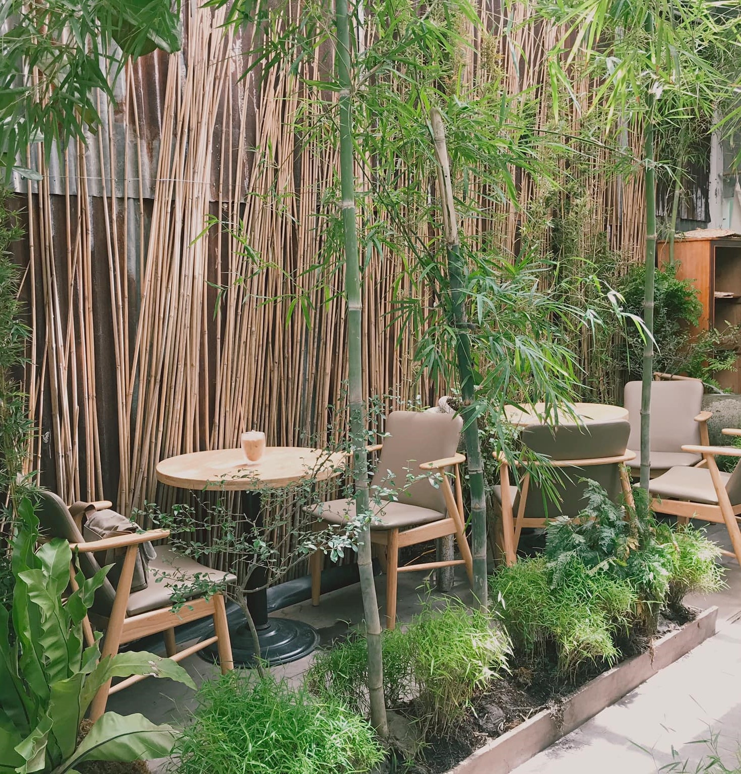 du lich mien Tay,  cho noi Cai Rang,  thanh pho Can Tho,  dia diem an uong,  quan ca phe anh 10