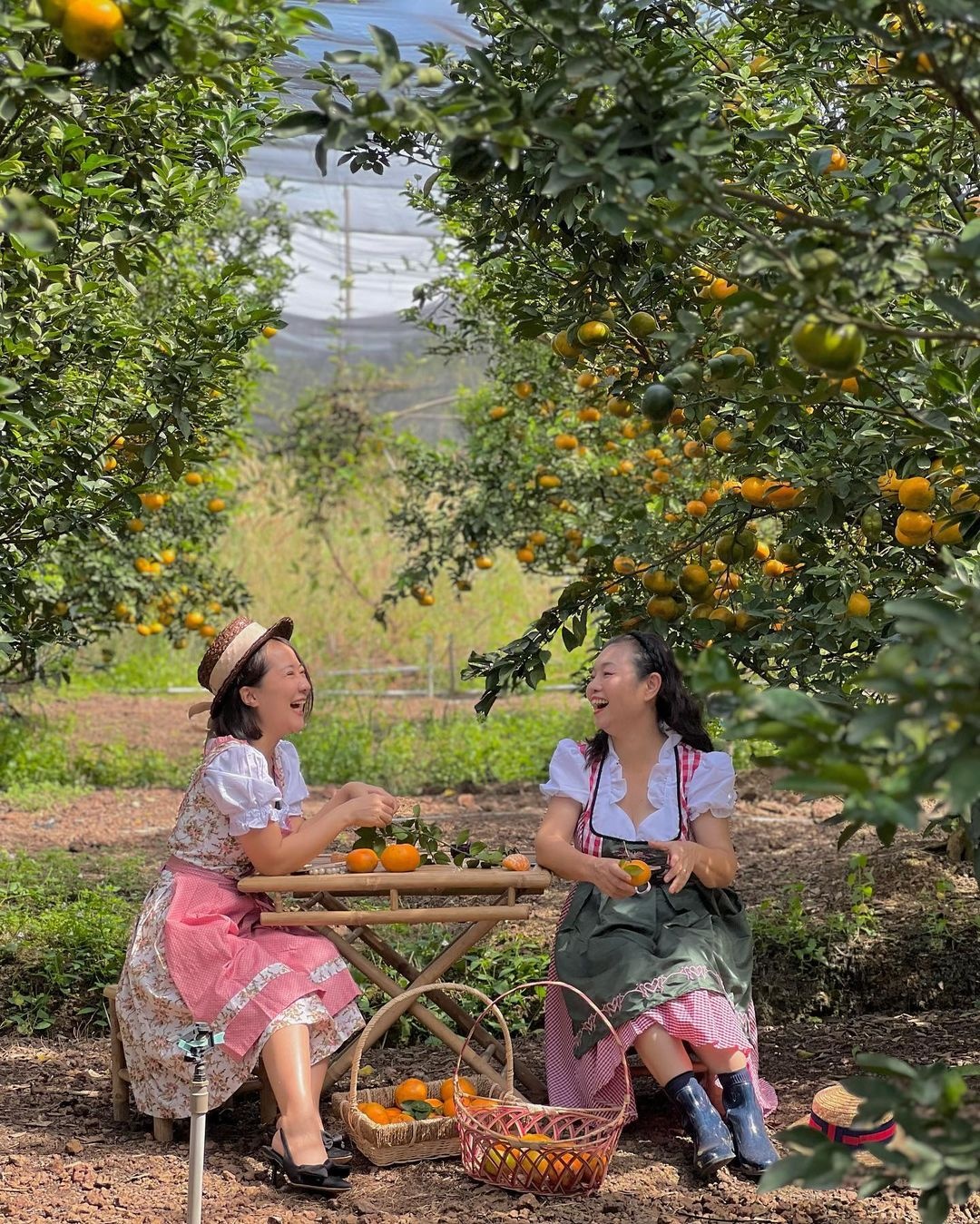 du lich gan,  thanh pho Binh Duong,  cam trai tien nghi,  khu to hop anh 2