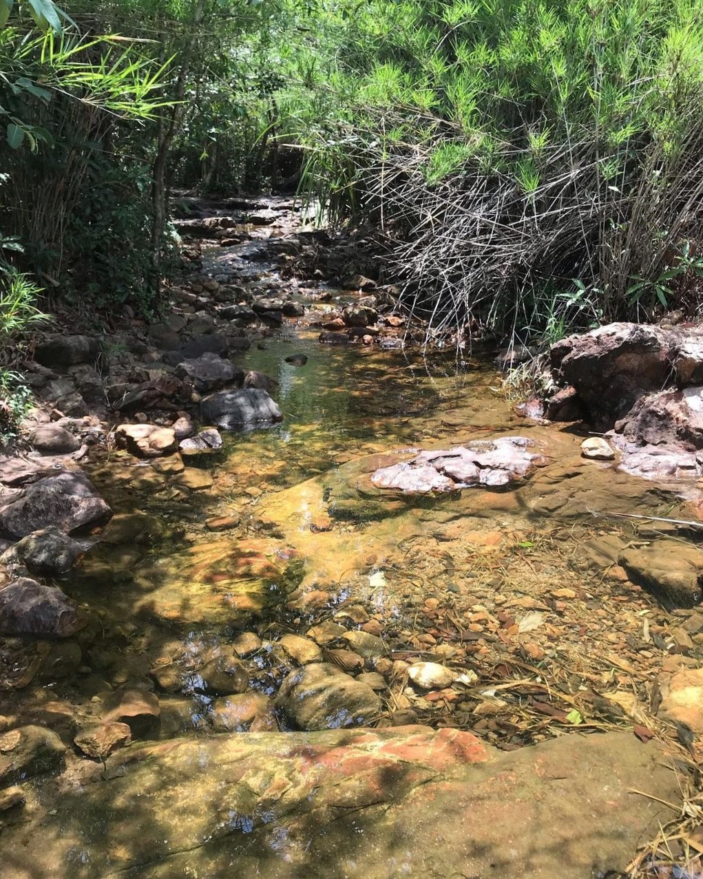 du lich gan,  thanh pho Binh Duong,  cam trai tien nghi,  khu to hop anh 5