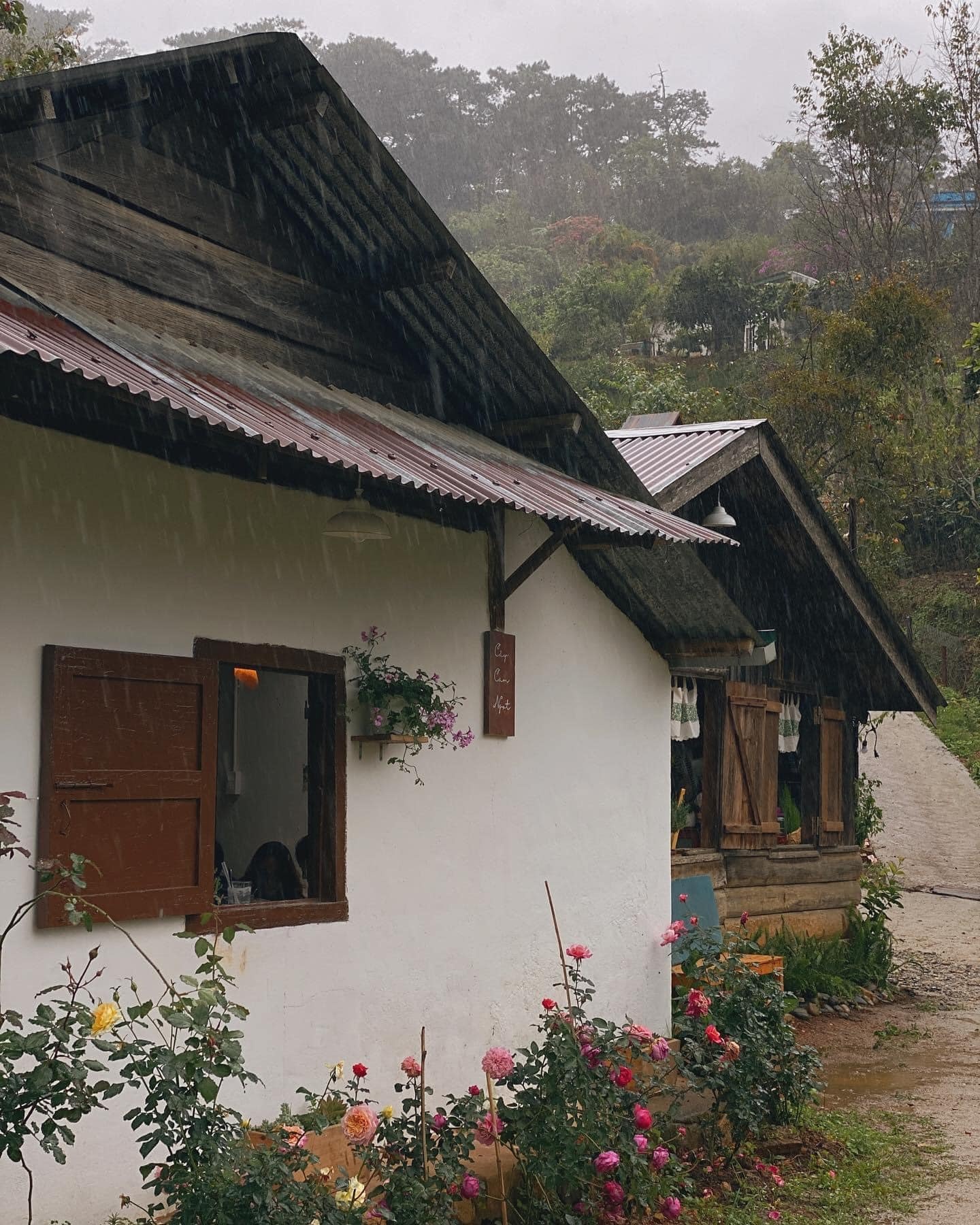 thanh pho Da Lat,  quan ca phe,  trai nghiem mua mua anh 2