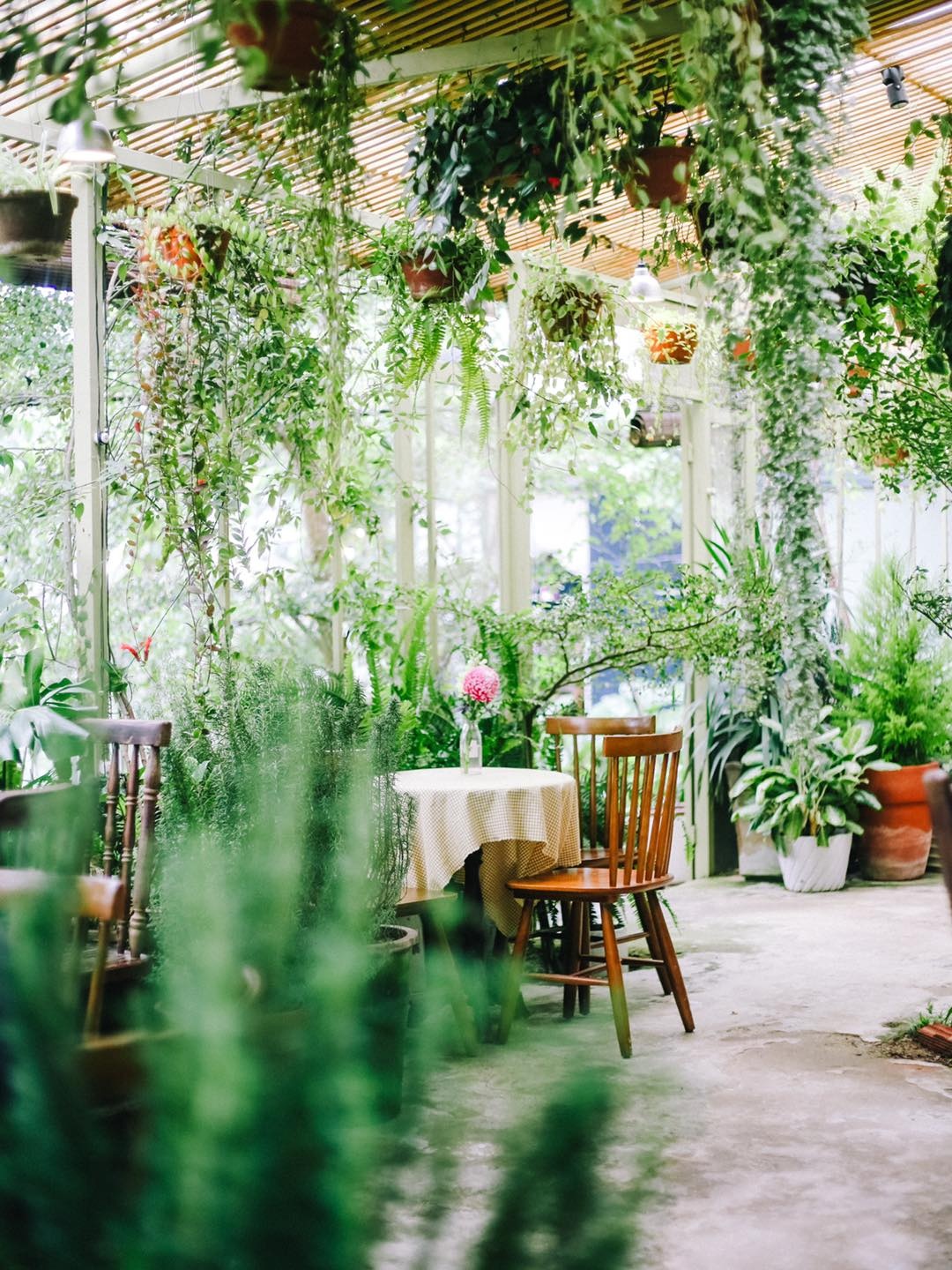 thanh pho Da Lat,  quan ca phe,  trai nghiem mua mua anh 5