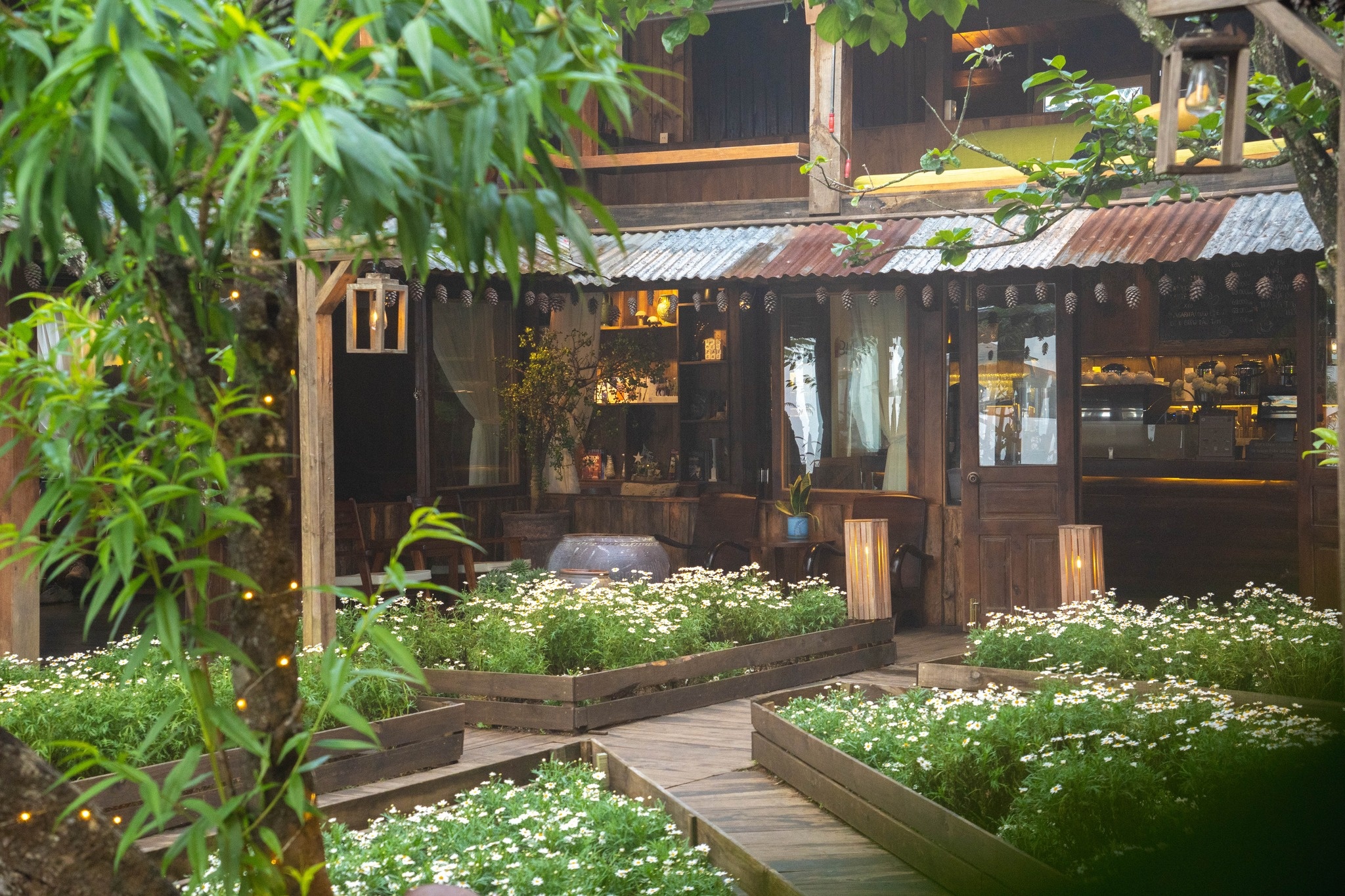 thanh pho Da Lat,  quan ca phe,  trai nghiem mua mua anh 6