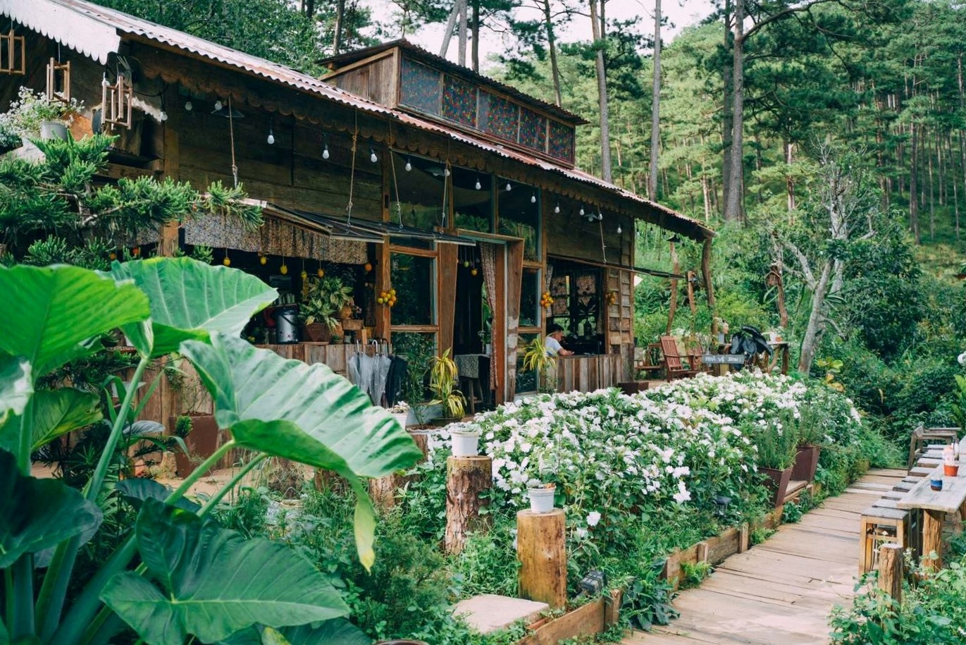 thanh pho Da Lat,  quan ca phe,  trai nghiem mua mua anh 9