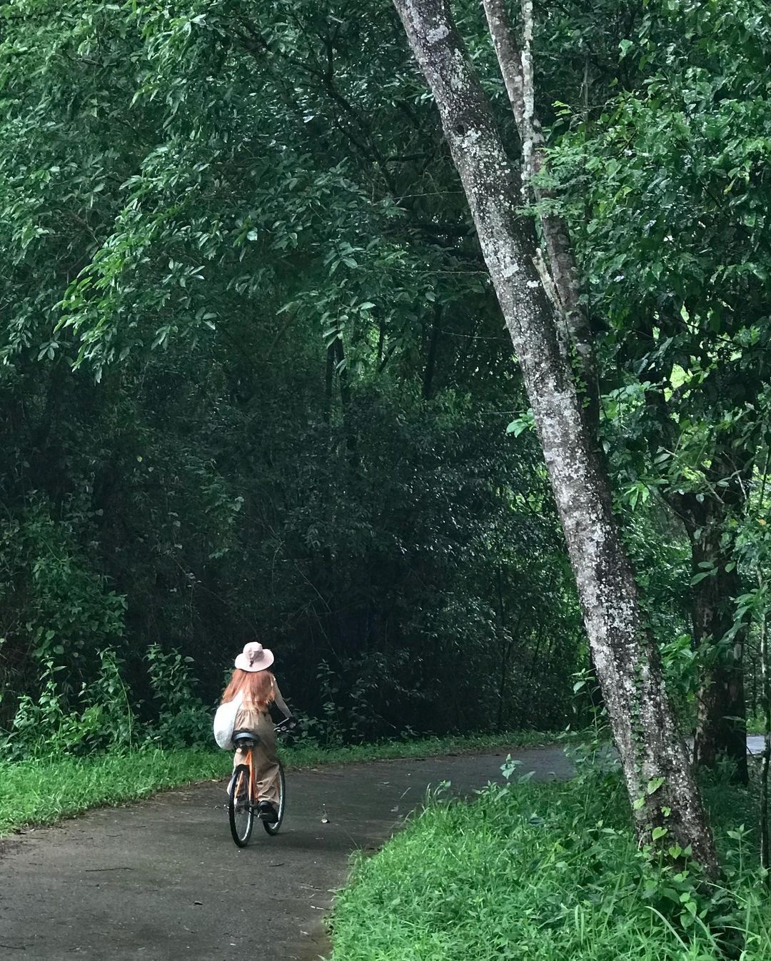 địa điểm du lịch, du lịch chữa lành, vườn quốc gia, Nam Cát Tiên ảnh 2 dia diem du lich, du lich chua lanh, vuon quoc gia, Nam Cat Tien anh 2