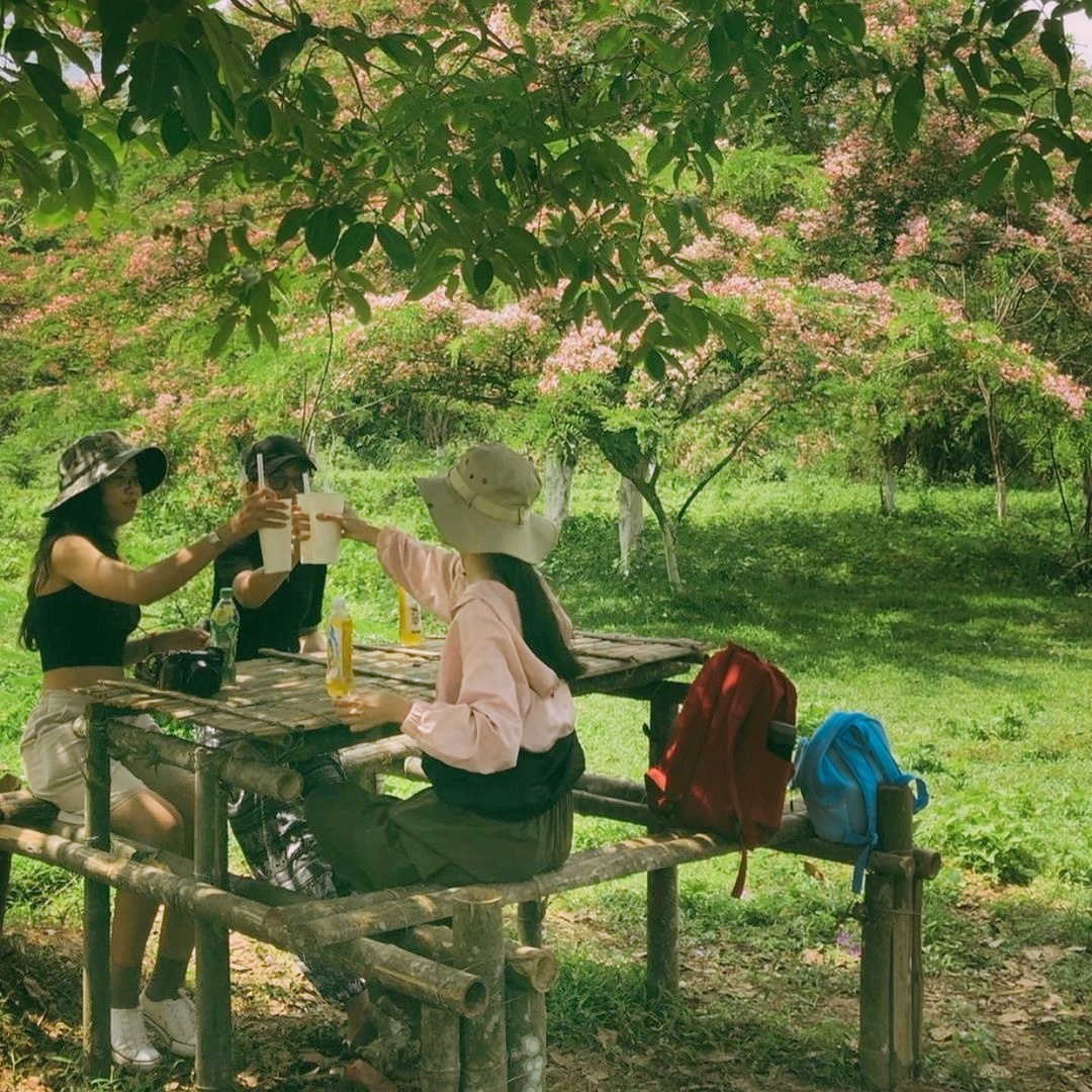 dia diem du lich,  du lich chua lanh,  vuon quoc gia,  Nam Cat Tien anh 5