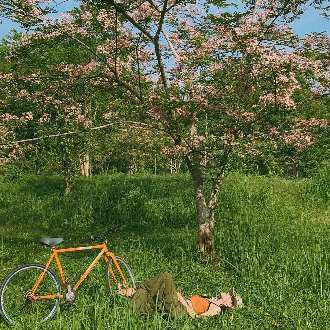 địa điểm du lịch, du lịch chữa lành, vườn quốc gia, Nam Cát Tiên ảnh 6 dia diem du lich, du lich chua lanh, vuon quoc gia, Nam Cat Tien anh 6