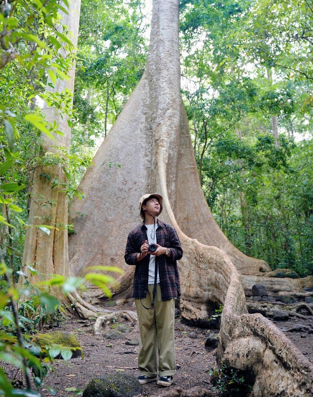 địa điểm du lịch, du lịch chữa lành, vườn quốc gia, Nam Cát Tiên ảnh 3 dia diem du lich, du lich chua lanh, vuon quoc gia, Nam Cat Tien anh 3