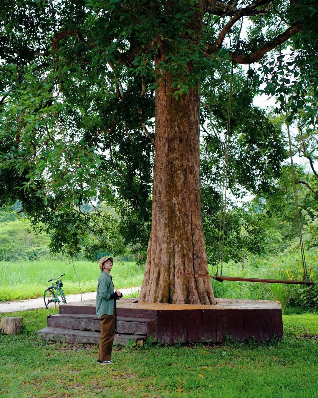 địa điểm du lịch, du lịch chữa lành, vườn quốc gia, Nam Cát Tiên ảnh 4 dia diem du lich, du lich chua lanh, vuon quoc gia, Nam Cat Tien anh 4